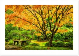Golden maple bench Art Print 181210246