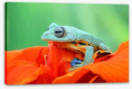 Reptiles / Amphibian Stretched Canvas 181384479