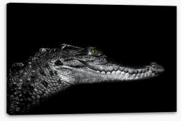 Reptiles / Amphibian Stretched Canvas 183004842