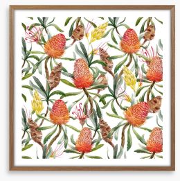 Banksia beauty Framed Art Print 183291144