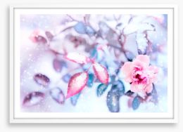 Frozen pink Framed Art Print 183535105