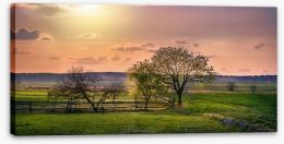 Meadows Stretched Canvas 183886667