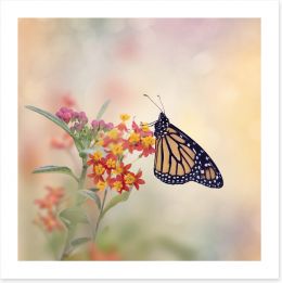 Butterflies Art Print 184802453