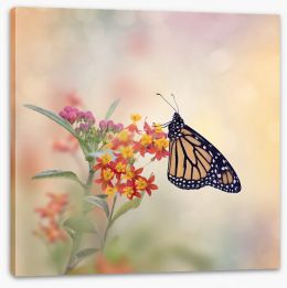 Butterflies Stretched Canvas 184802453
