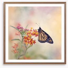 Butterflies Framed Art Print 184802453