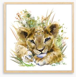 Lion cub in the grass