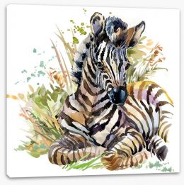 Animals Stretched Canvas 185495527