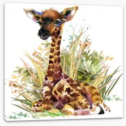Animals Stretched Canvas 185495565