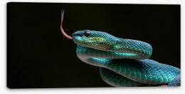Reptiles Stretched Canvas 185603906