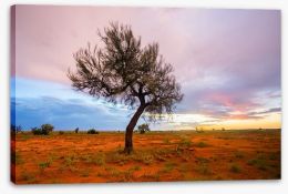 Outback Stretched Canvas 186208991