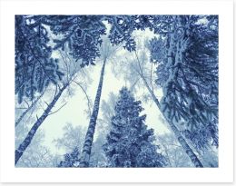 Forests Art Print 186363466