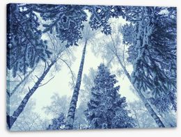 Forests Stretched Canvas 186363466
