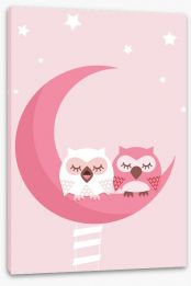 Night owls Stretched Canvas 18678439