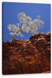 Outback Stretched Canvas 189394916