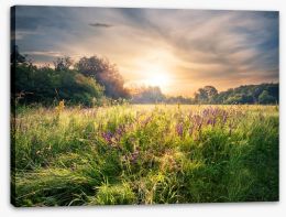 Meadows Stretched Canvas 191136118