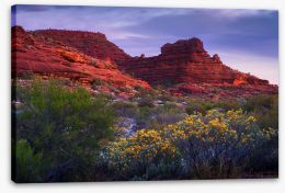 Outback Stretched Canvas 191458227