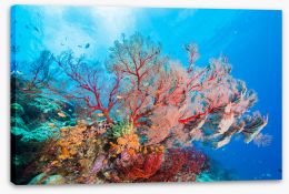 Underwater Stretched Canvas 191997240