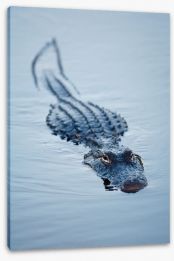 Reptiles / Amphibian Stretched Canvas 192012806