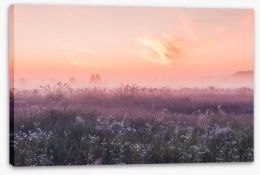 Meadows Stretched Canvas 192756341