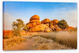 Outback Stretched Canvas 192938194