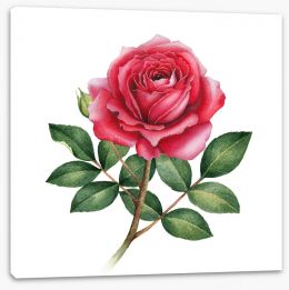 Floral Stretched Canvas 193549238