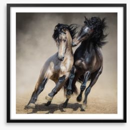 Horseplay Framed Art Print 194032878
