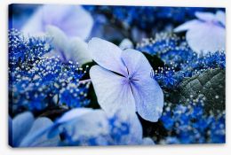 Flowers Stretched Canvas 194670144