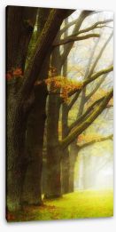 Trees Stretched Canvas 195328796