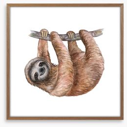 Hanging sloth Framed Art Print 196398751