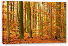 Autumn Stretched Canvas 196763513