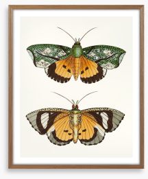 Butterflies Framed Art Print 197123476