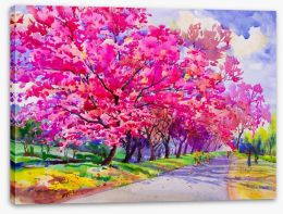 Cherry blossom path Stretched Canvas 197578145