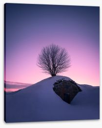 Winter Stretched Canvas 197646259