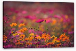 Meadows Stretched Canvas 197916022