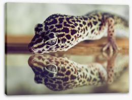 Reptiles / Amphibian Stretched Canvas 199344673