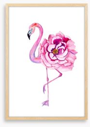 Flamingo bloom