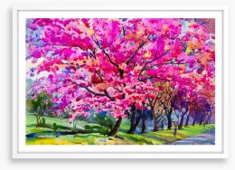 Cherry blossom parade Framed Art Print 200474612