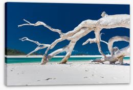 Beaches Stretched Canvas 203519903