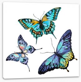 Butterflies Stretched Canvas 203900160