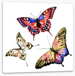 Butterflies Stretched Canvas 203900192
