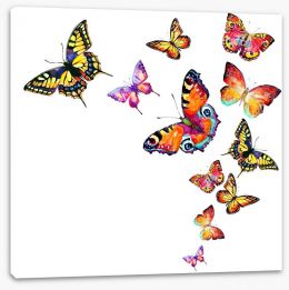 Butterflies Stretched Canvas 204101633