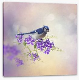 Birds Stretched Canvas 204826925
