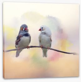 Birds Stretched Canvas 205429755