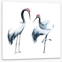 Birds Stretched Canvas 206024868