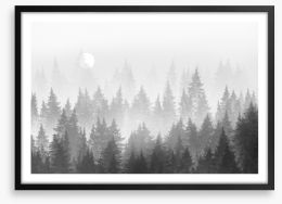 Shadow forest Framed Art Print 206064159