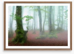 Forests Framed Art Print 206226907
