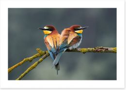 Birds Art Print 206919028