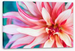 Flowers Stretched Canvas 207211928