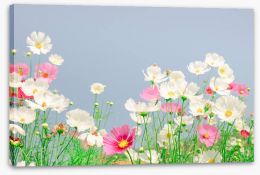 Spring Stretched Canvas 207307377
