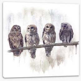 Birds Stretched Canvas 207477025